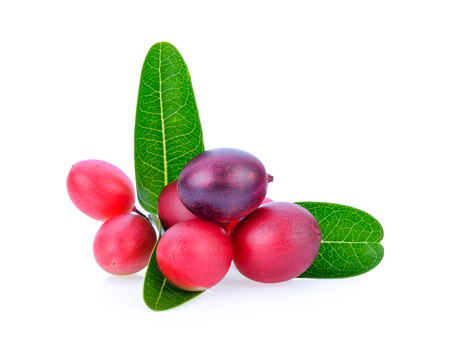 bengal-currants, carandas-plum, isolated on white background.の写真素材