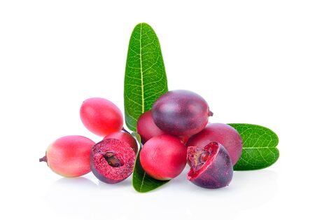bengal-currants, carandas-plum, isolated on white background.の写真素材