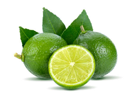 Lime isolated on white backgroundの写真素材