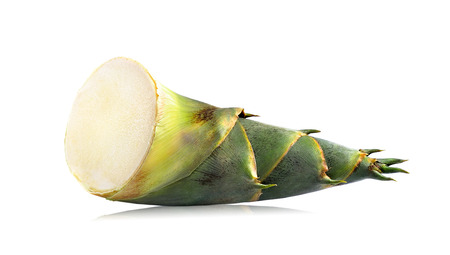 bamboo shoot isolated on white backgroundの写真素材