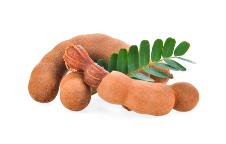 Tamarind isolated on the white backgroundの写真素材