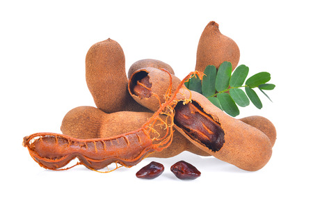 Tamarind isolated on the white backgroundの写真素材