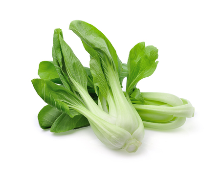 Bok choy (chinese cabbage) isolated on white backgroundの写真素材