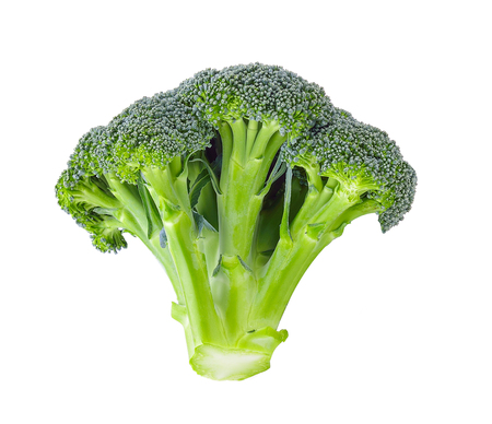 Broccoli on white backgroundの写真素材