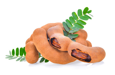 Tamarind isolated on the white backgroundの写真素材