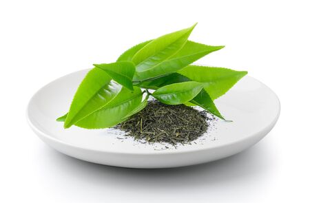 Green tea leaf in a plate isolated on a white backgroundの写真素材