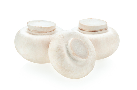 Mushroom champignon isolated on white backgroundの写真素材
