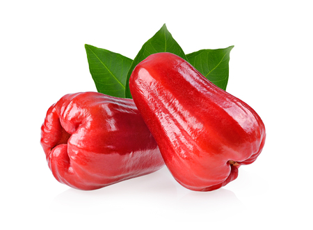 rose apple isolated on white backgroundの写真素材