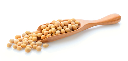 soy bean in wood scoop on white backgroundの写真素材