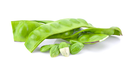 Bitter bean on white backgroundの写真素材