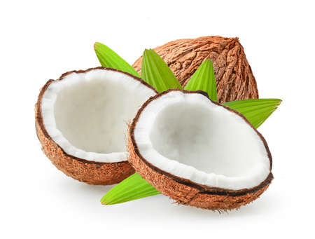 coconuts isolated on the white backgroundの写真素材