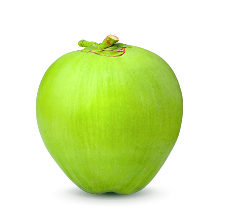 Green coconut Fruit isolated on white backgroundの写真素材