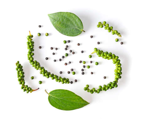 black peppers and leaf on white backgroundの写真素材
