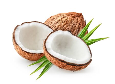 coconuts isolated on the white backgroundの写真素材