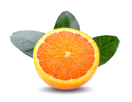 orange slice  isolated on white backgroundの写真素材