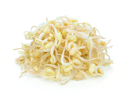 Bean Sprouts on White Backgroundの写真素材