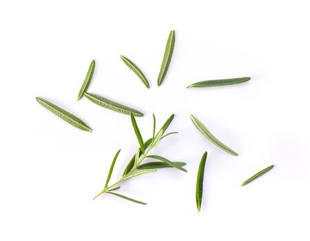 Rosemary isolated on white backgroundの写真素材