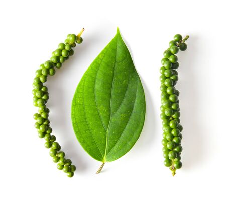 fresh peppers and leaf on white backgroundの写真素材