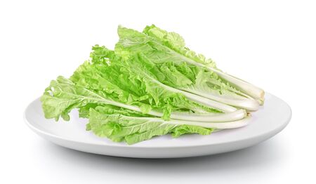 lettuce leaves in a plate isolated on a white backgroundの写真素材