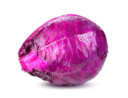 Purple cabbage on white backgroundの写真素材