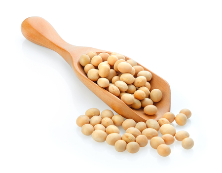 soy bean in wood scoop on whit backgroundの写真素材
