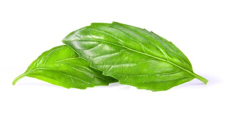Leaf of basil isolated on white backgroundの写真素材
