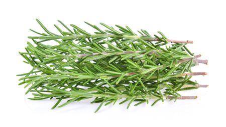 Rosemary isolated on white backgroundの写真素材