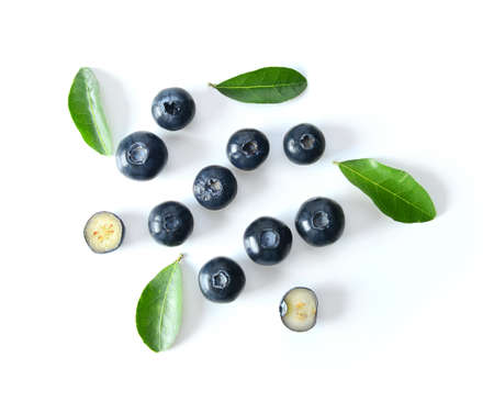 Blueberry collection isolated on white backgroundの写真素材