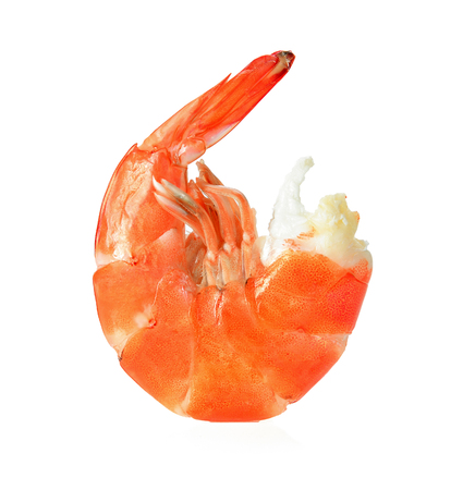 shrimps on a white backgroundの写真素材