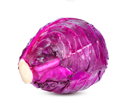 Purple cabbage on white backgroundの写真素材