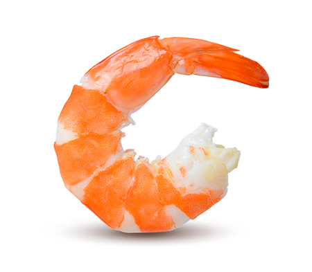 shrimps on a white backgroundの写真素材
