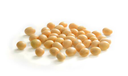 soybeans isolate on white backgroundの写真素材