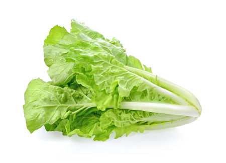 Lettuce on white backgroundの写真素材