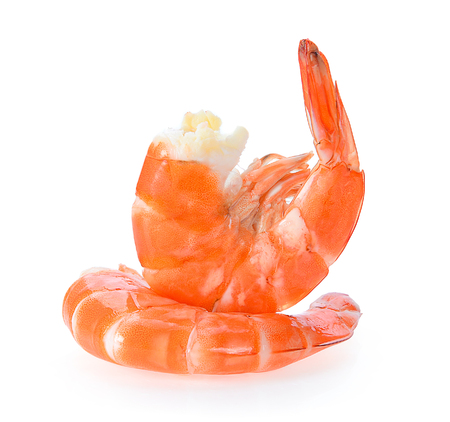 shrimps on a white backgroundの写真素材