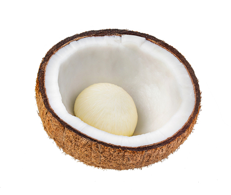 coconuts isolated on the white backgroundの写真素材