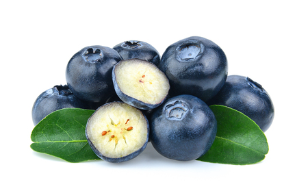 Blueberry collection isolated on white backgroundの写真素材