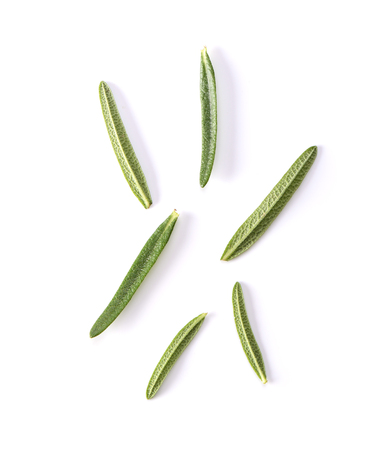 Rosemary isolated on white backgroundの写真素材