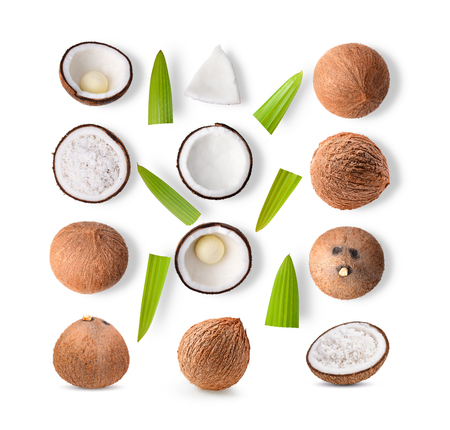 set of coconut on white backgroundの写真素材