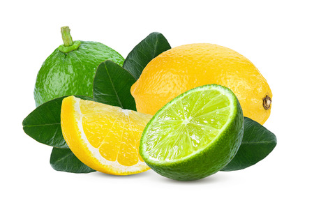 lemon and lime fruit isolated on white backgroundの写真素材