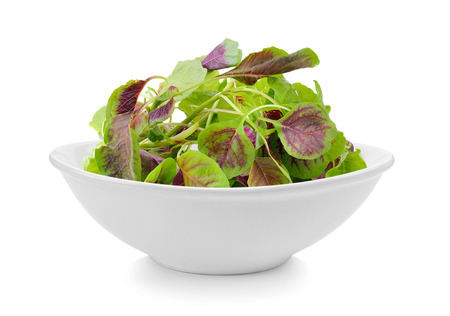 spinach in a bowl on white backgroundの写真素材