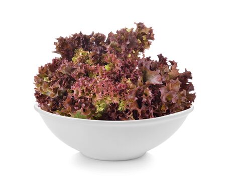 Fresh red lettuce in a bowl on white backgroundの写真素材