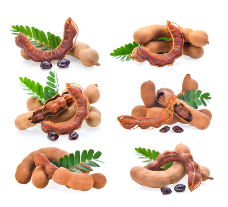 Tamarind on white backgroundの写真素材