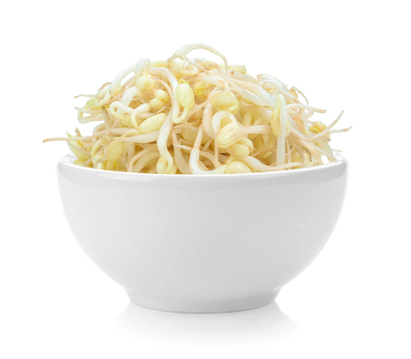 Bean Sprouts in white bowl on white backgroundの写真素材