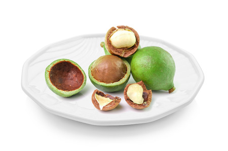 macadamia nuts in a plate isolated on white backgroundの写真素材