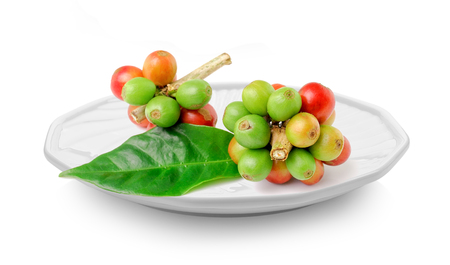 coffee beans in plate on white backgroundの写真素材