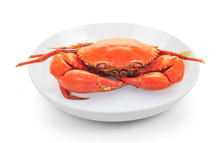 Boiled crabs prepared in plate on white backgroundの写真素材