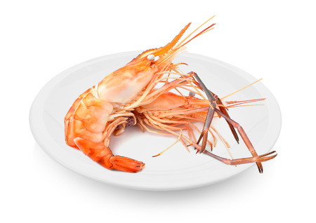 Boiled shrimp in plate on white backgroundの写真素材