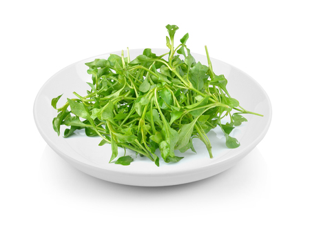 Fresh Watercress in plate on white backgroundの写真素材