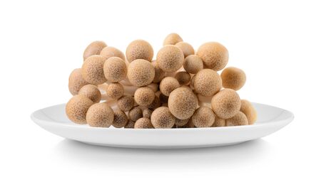 brown beech mushroom in plate isolated on white backgroundの写真素材