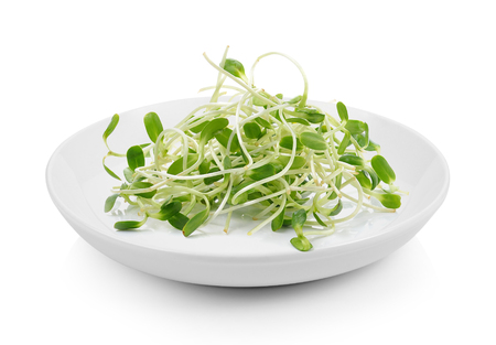 green young sunflower sprouts in plate on white backgroundの写真素材